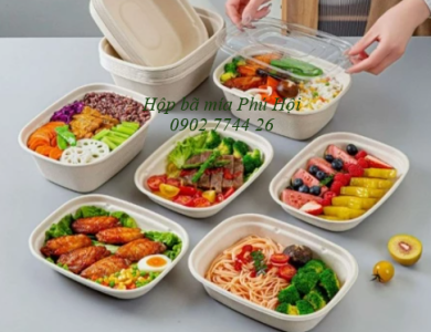 Hộp bã mía 1 ngăn to nắp nhựa PET 850ml